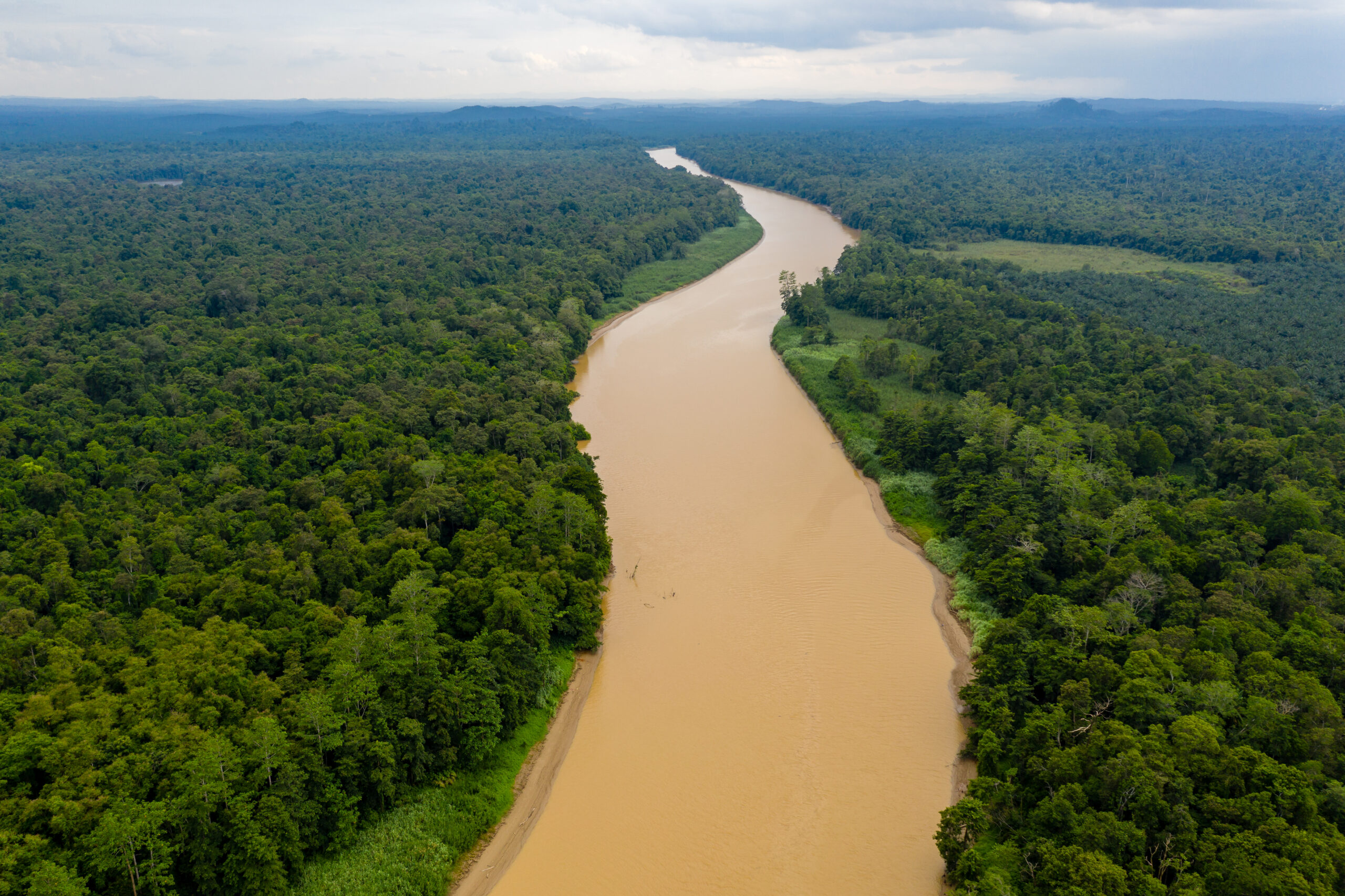 Aerial drone view of a long winding river through a tropical rain forest