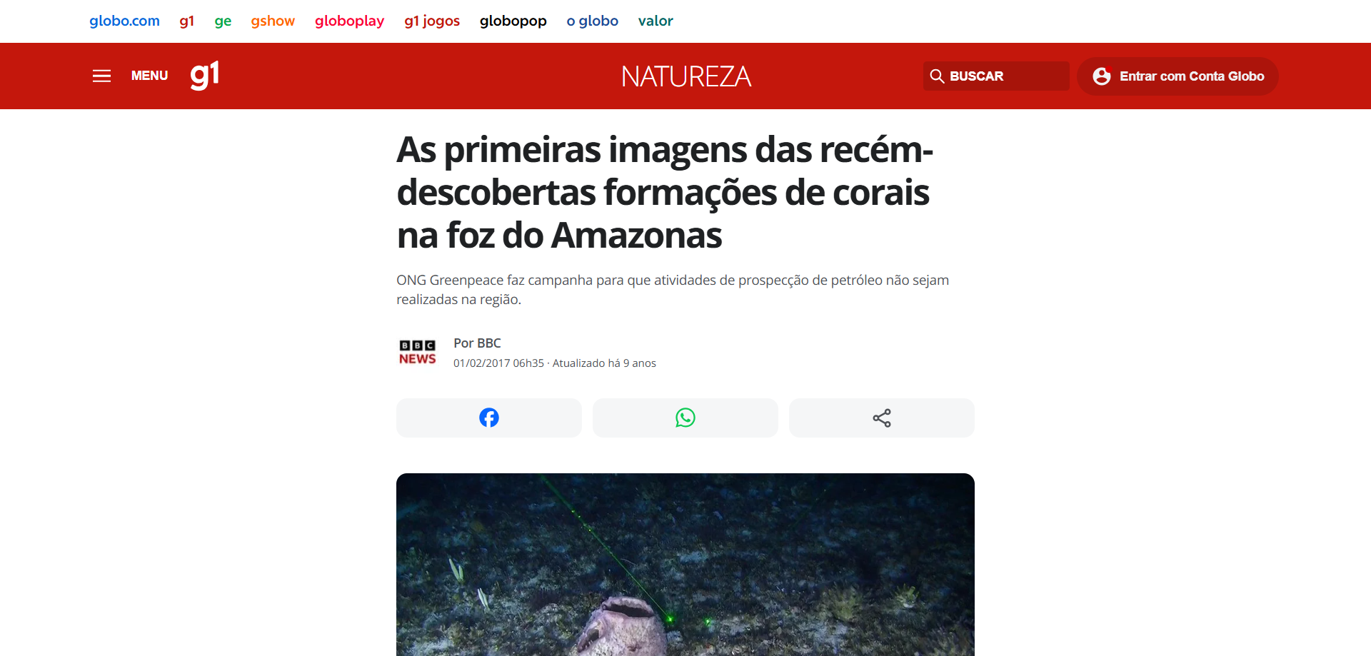 As primeiras imagens das recém-descobertas formações de corais na foz do Amazonas